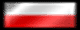 Польша в ФА13
